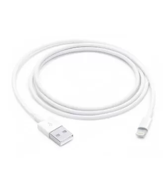 Apple Lightning to USB Cable (1m)