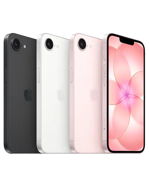soft-pink-4.png soft-pink-4.png